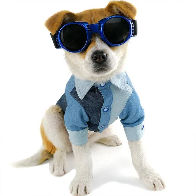 Fashionable Blue Jean Style Button Summer Dog Shirt