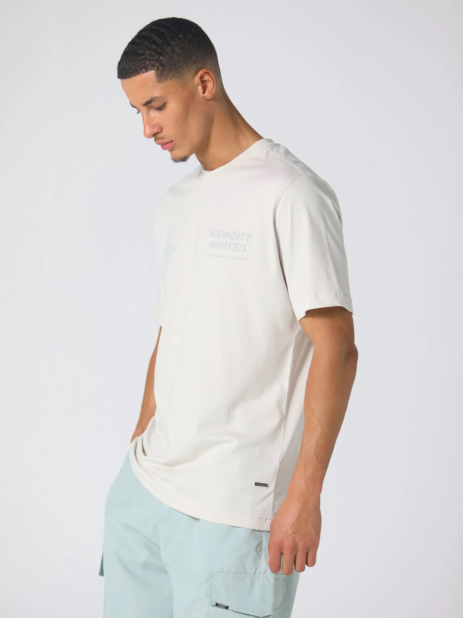 Ibanez Chalk T-Shirt