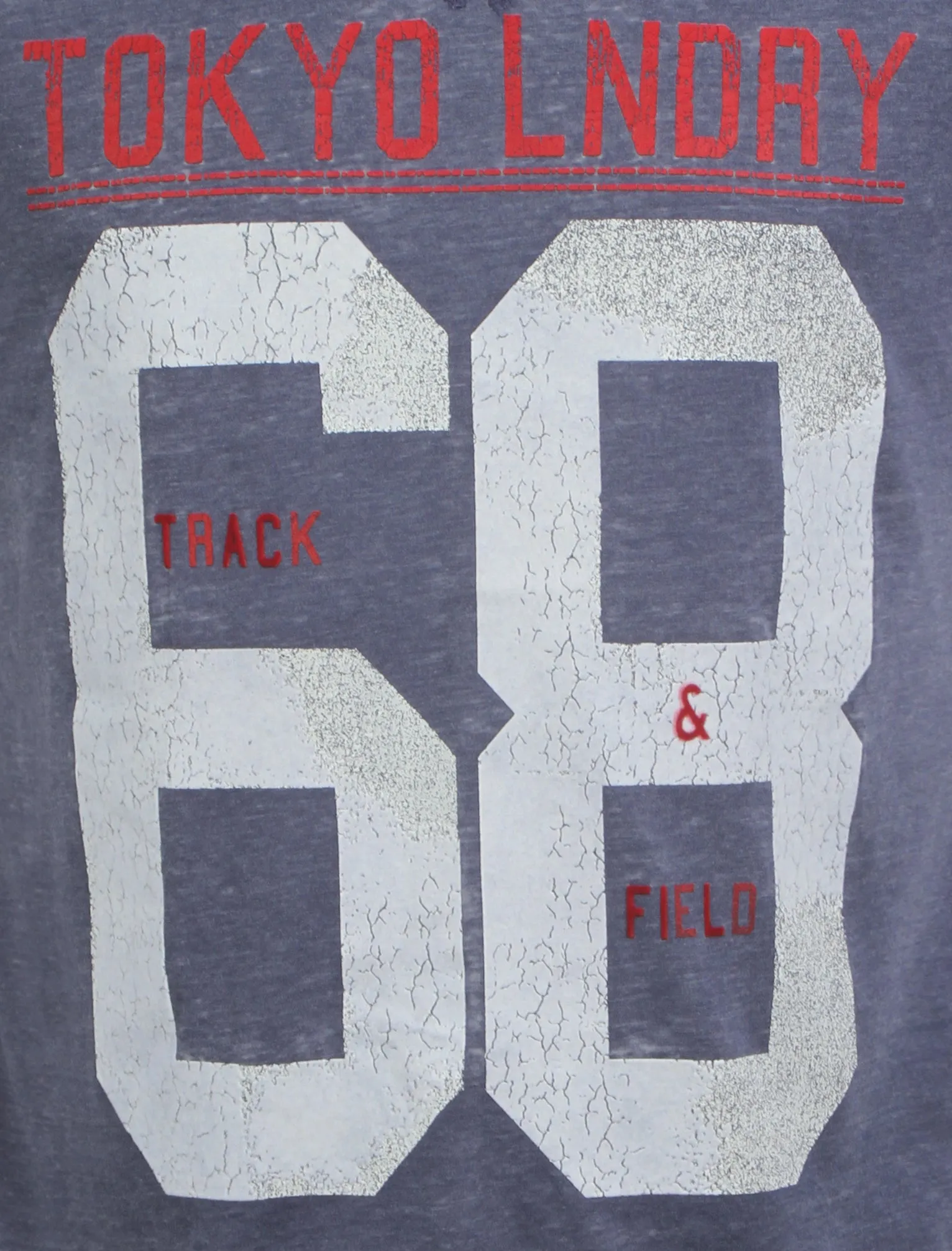 Tokyo Laundry Edwin navy blue t-shirt